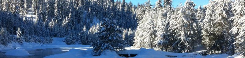 Winter on the river